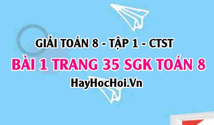 Giải bài 1 trang 35 Toán 8 Tập 1 SGK Chân trời sáng tạo